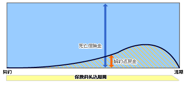 保険料払込期間（定期保険）