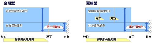 保険料払込期間（定期付終身保険、前期型・更新型）