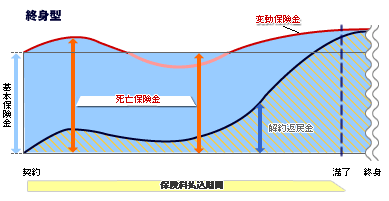 保険料払込期間（変動保険・終身型）