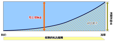 保険料払込期間（養老保険）