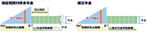 保険料払込期間（保証期間付終身年金・確定年金）