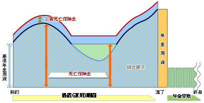 保険料払込期間（変額個人年金保険）